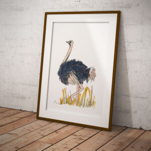ostrich-2